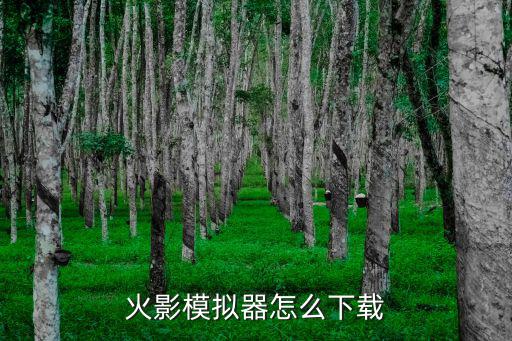 火影模拟器怎么下载