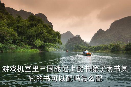 游戏机室里三国战记上配书除了雨书其它的书可以配吗怎么配