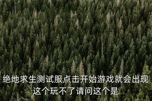 绝地求生测试服点击开始游戏就会出现这个玩不了请问这个是