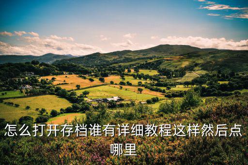 怎么打开存档谁有详细教程这样然后点哪里