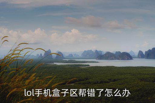 lol手机盒子区帮错了怎么办