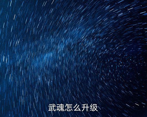 武魂怎么升级