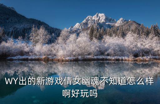 WY出的新游戏倩女幽魂不知道怎么样啊好玩吗