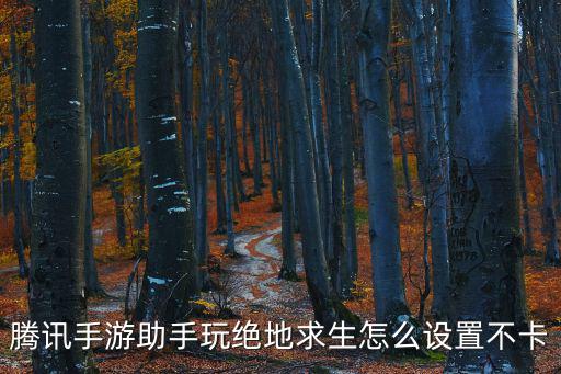 腾讯手游助手玩绝地求生怎么设置不卡