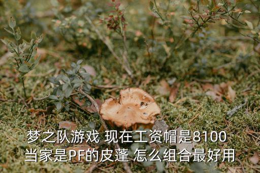 梦之队游戏 现在工资帽是8100 当家是PF的皮蓬 怎么组合最好用