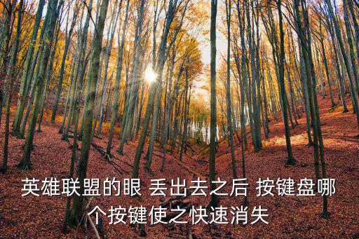 手游英雄联盟里面的眼怎么收回来，英雄联盟里面把视眼改成1920x1080的黑屏了如何快速恢复啊游