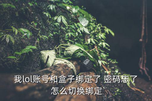 我lol账号和盒子绑定了 密码忘了 怎么切换绑定