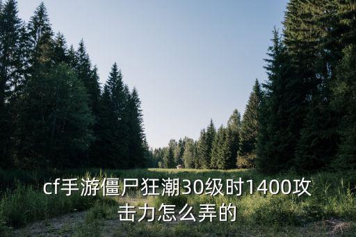 cf手游僵尸狂潮30级时1400攻击力怎么弄的