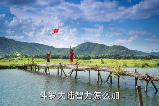 斗罗大陆智力怎么加