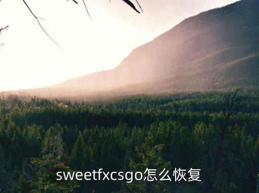 sweetfxcsgo怎么恢复