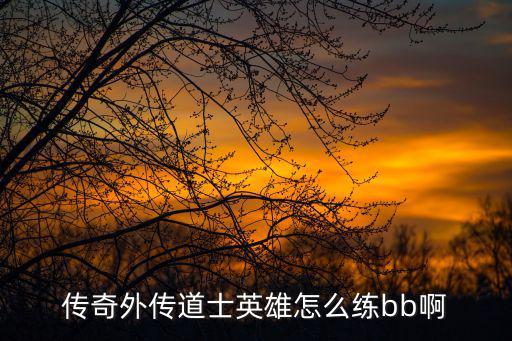 传奇外传道士英雄怎么练bb啊