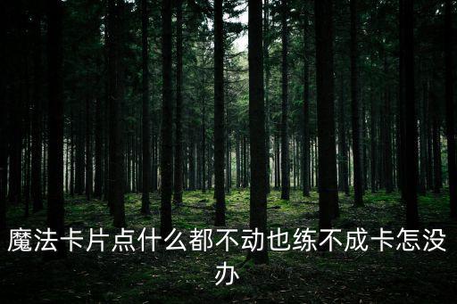 魔法卡片点什么都不动也练不成卡怎没办