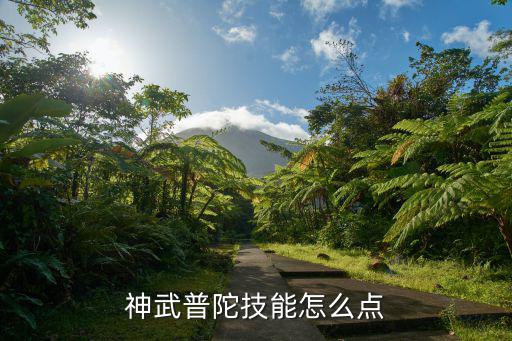 神武普陀技能怎么点
