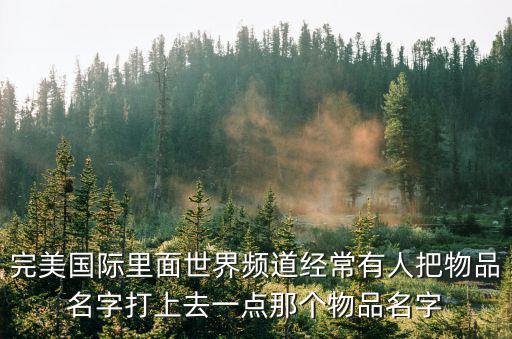 完美国际里面世界频道经常有人把物品名字打上去一点那个物品名字