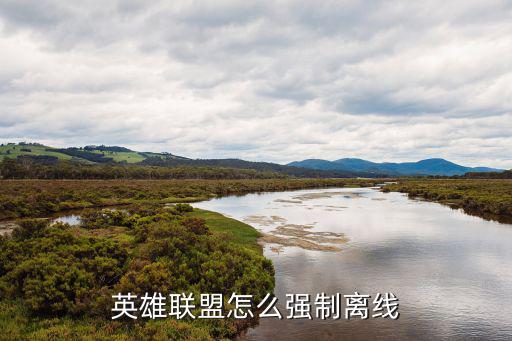 英雄联盟怎么强制离线