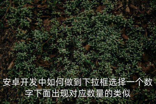 安卓开发中如何做到下拉框选择一个数字下面出现对应数量的类似