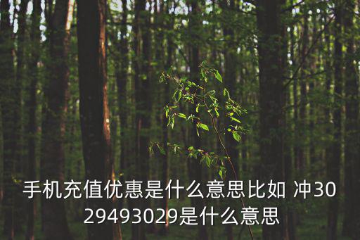 手机充值优惠是什么意思比如 冲30 29493029是什么意思