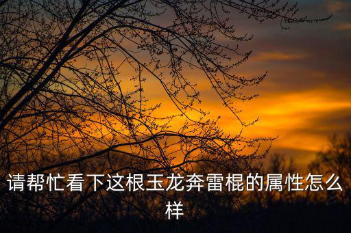 请帮忙看下这根玉龙奔雷棍的属性怎么样
