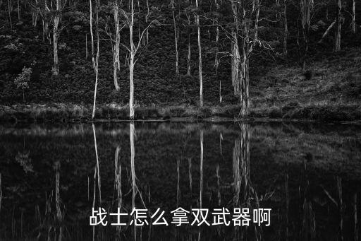 战士怎么拿双武器啊