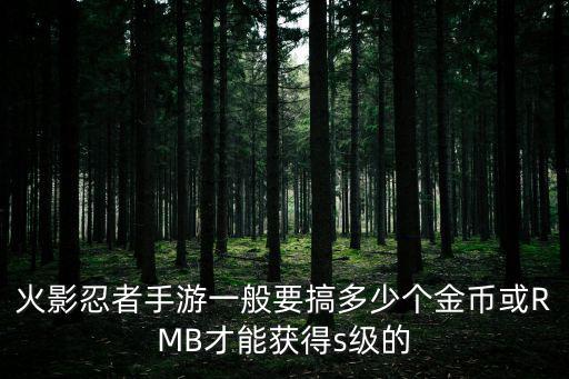 火影忍者手游一般要搞多少个金币或RMB才能获得s级的