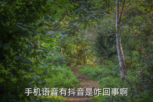 手机语音有抖音是咋回事啊