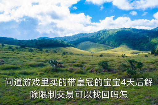 问道游戏里买的带皇冠的宝宝4天后解除限制交易可以找回吗怎