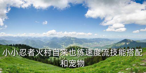 小小忍者火村自来也练速度流技能搭配和宠物