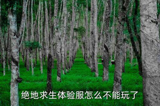 绝地求生体验服怎么不能玩了