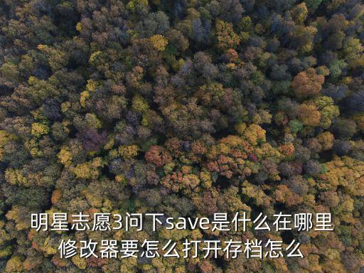明星志愿3问下save是什么在哪里修改器要怎么打开存档怎么