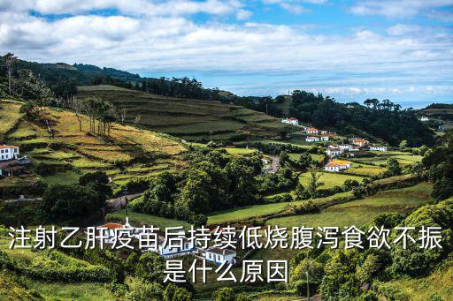 注射乙肝疫苗后持续低烧腹泻食欲不振是什么原因