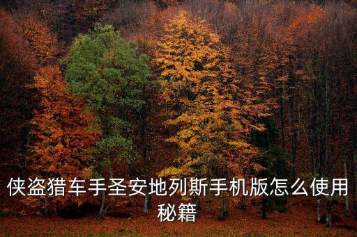 侠盗猎车手圣安地列斯手机版怎么使用秘籍