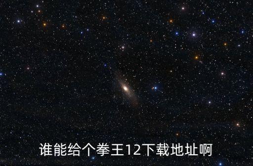 谁能给个拳王12下载地址啊