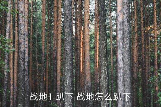 战地1 趴下 战地怎么趴下