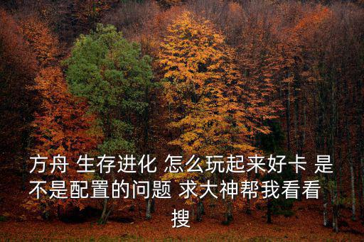 方舟 生存进化 怎么玩起来好卡 是不是配置的问题 求大神帮我看看 搜