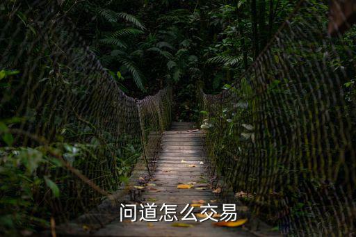 问道手游交易怎么操作，问道怎麽交易