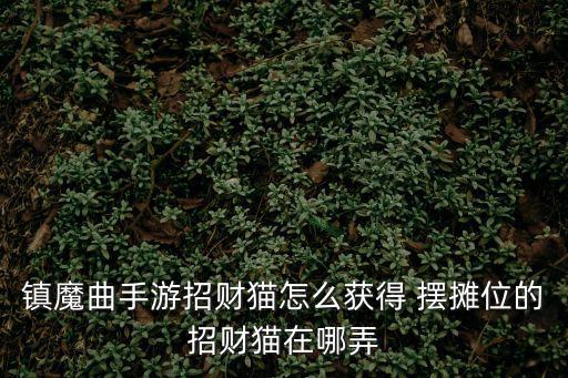 镇魔曲手游招财猫怎么获得 摆摊位的招财猫在哪弄