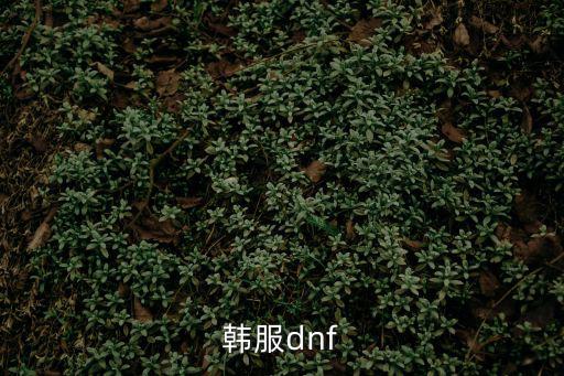 韩服dnf