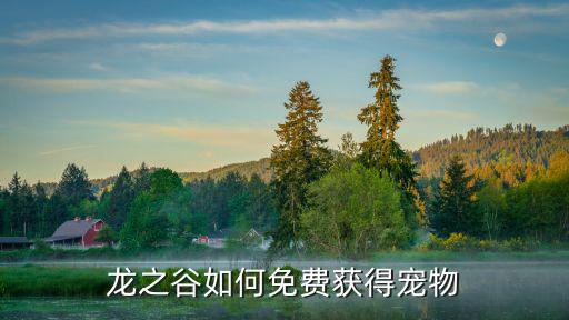 龙之谷如何免费获得宠物