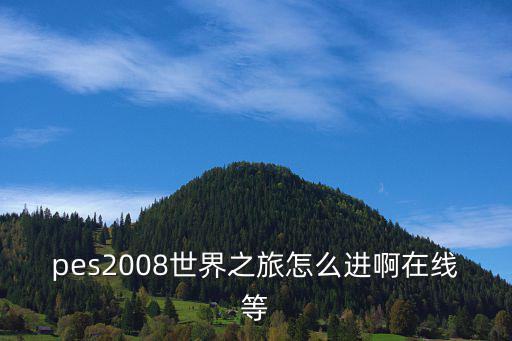pes2008世界之旅怎么进啊在线等
