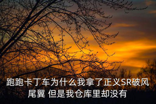 跑跑卡丁车为什么我拿了正义SR破风尾翼 但是我仓库里却没有