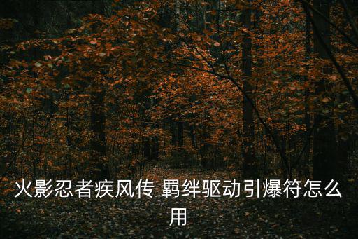火影忍者疾风传 羁绊驱动引爆符怎么用
