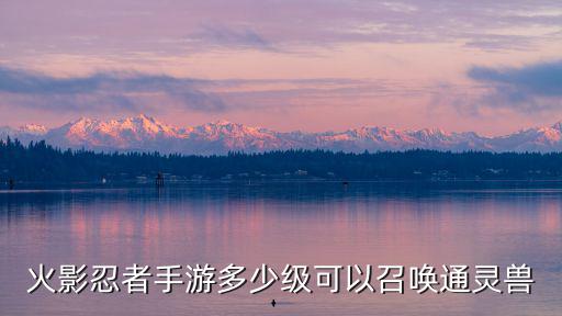 火影忍者手游多少级可以召唤通灵兽