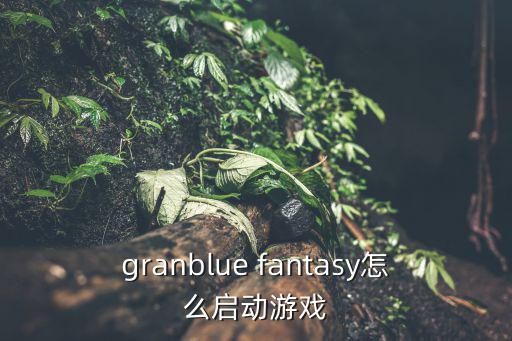 granblue fantasy怎么启动游戏