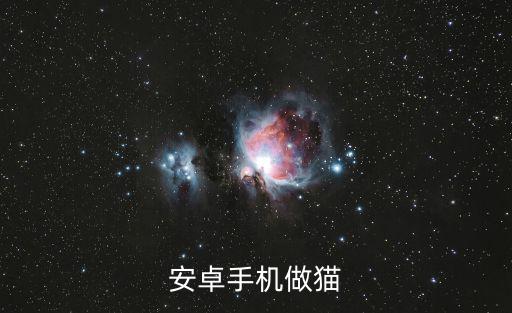 安卓手机做猫