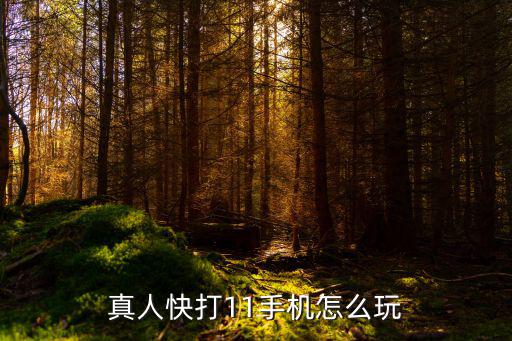 真人快打11手机怎么玩