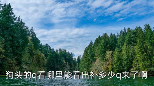 狗头的q看哪里能看出补多少q来了啊