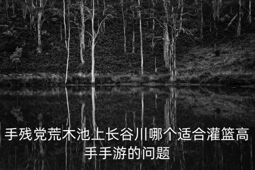 手残党荒木池上长谷川哪个适合灌篮高手手游的问题