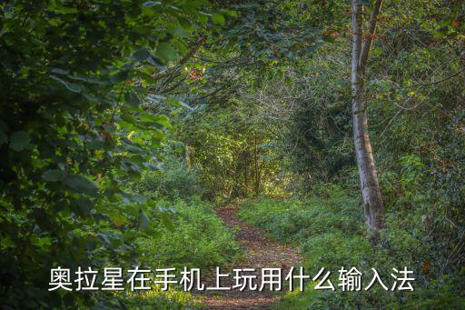 奥拉星在手机上玩用什么输入法