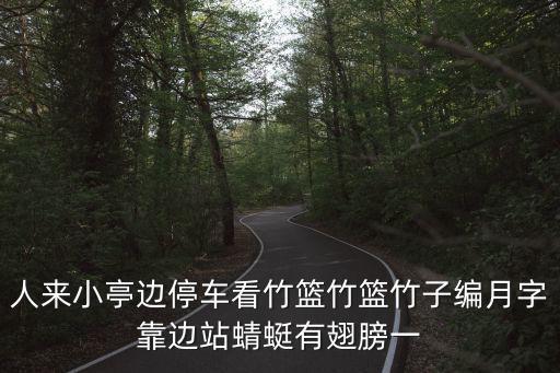天刀手游吾爱蜻蜓儿来怎么获得，人来小亭边停车看竹篮竹篮竹子编月字靠边站蜻蜓有翅膀一