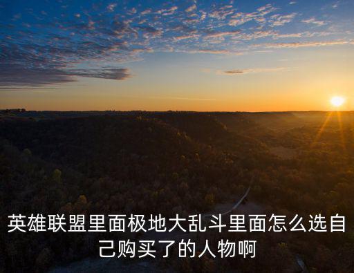 英雄联盟里面极地大乱斗里面怎么选自己购买了的人物啊